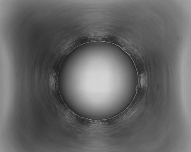 X0000113101059200908281343