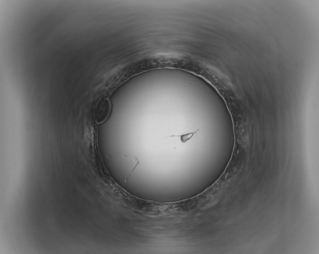 X0000113101061200908281343