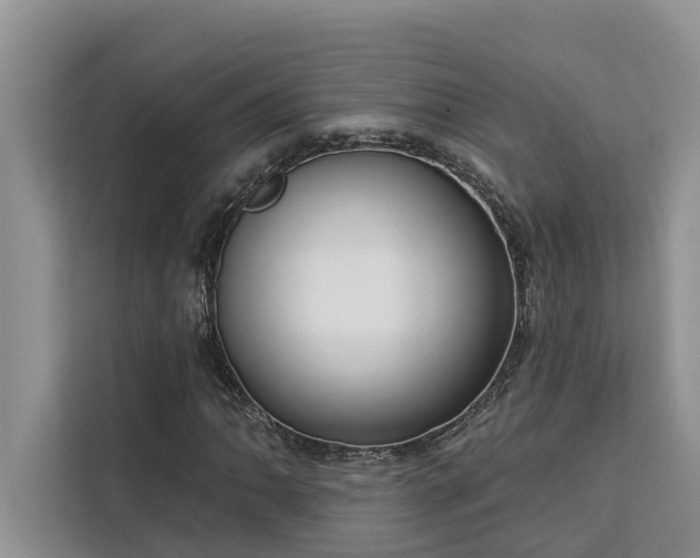 X0000113101062200908281343