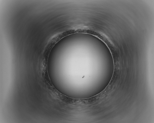 X0000113101063200908281343