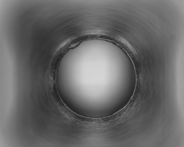 X0000113101064200908281343