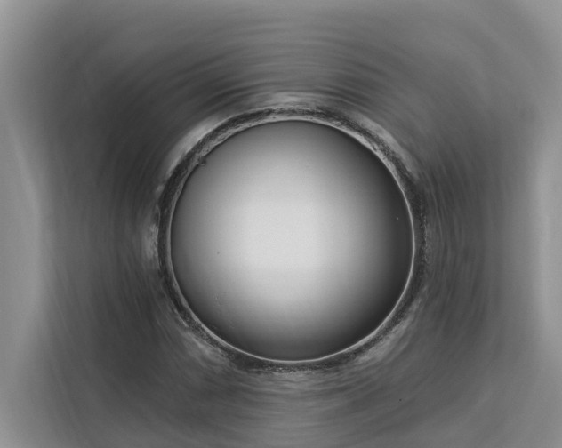 X0000113101066200908281343