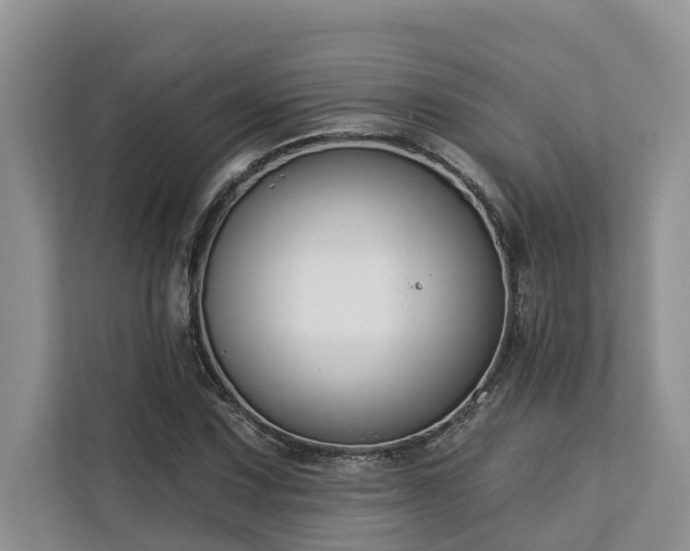 X0000113101067200908281343