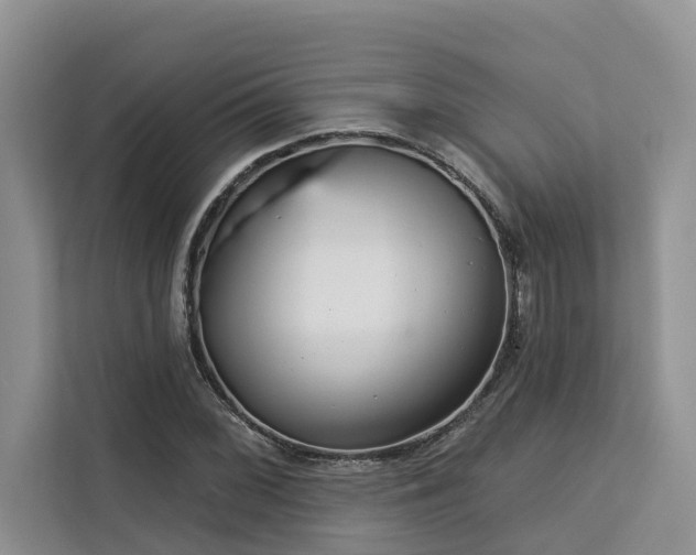 X0000113101068200908281343