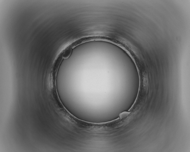 X0000113101069200908281343