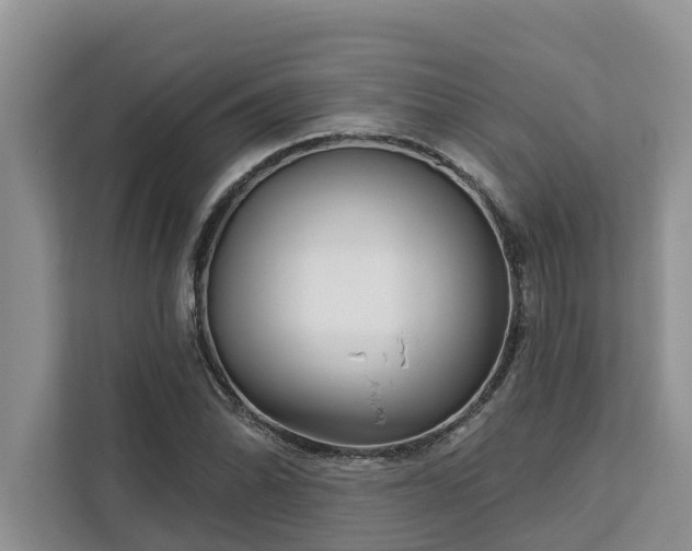 X0000113101070200908281343
