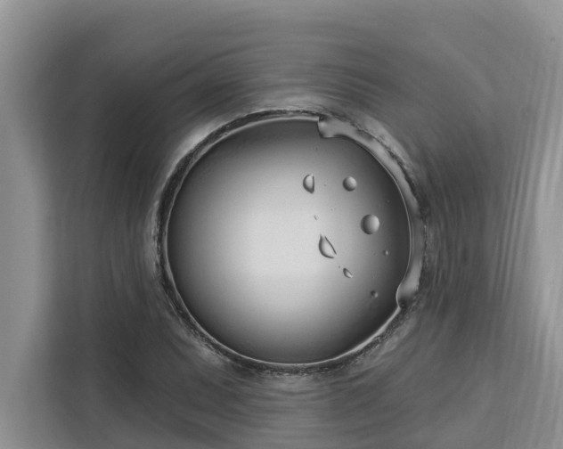 X0000113101071200908281343