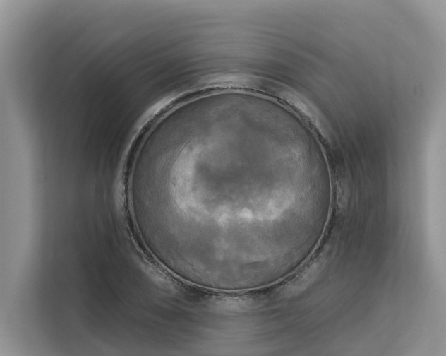 X0000113101074200908281343