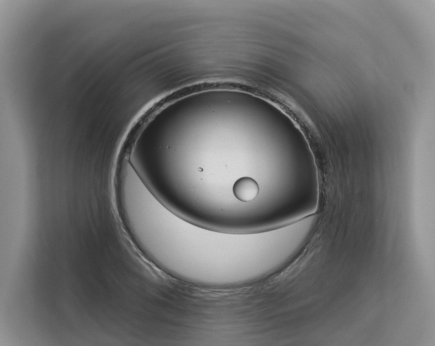 X0000113101076200908281343
