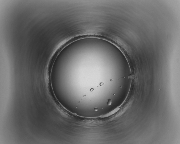 X0000113101077200908281343