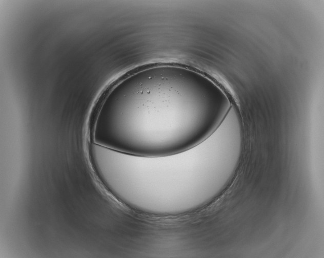 X0000113101080200908281343