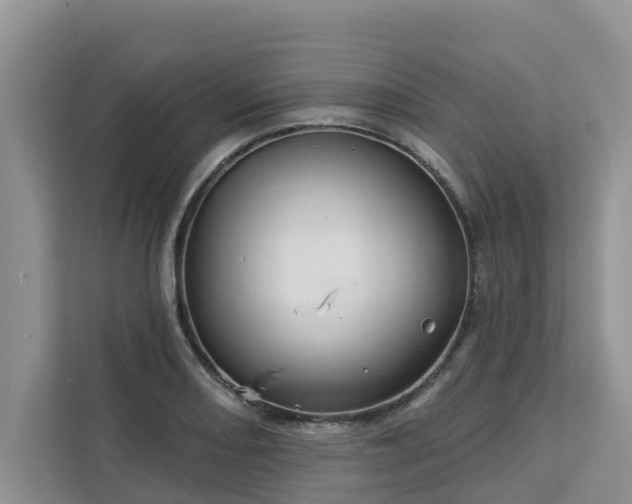 X0000113101082200908281343