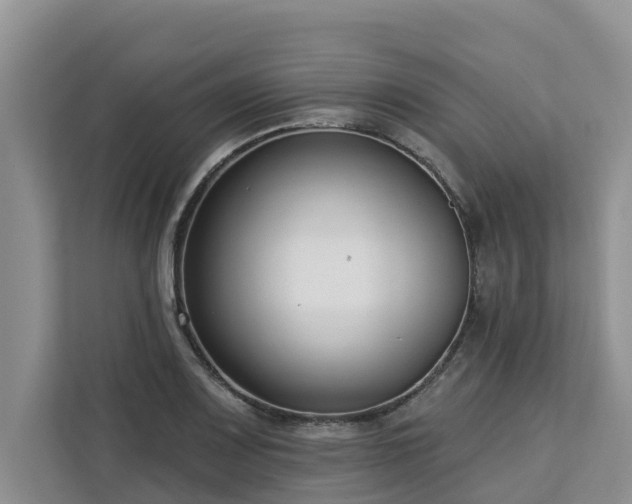 X0000113101083200908281343