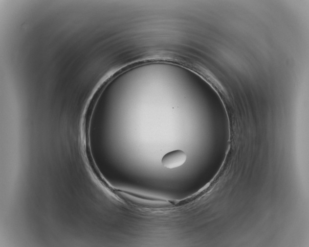 X0000113101084200908281343