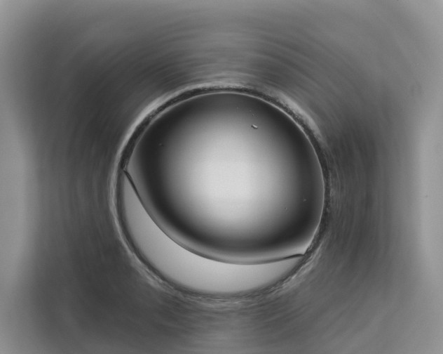 X0000113101085200908281343