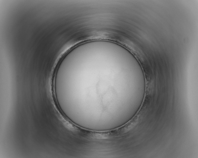 X0000113101086200908281343
