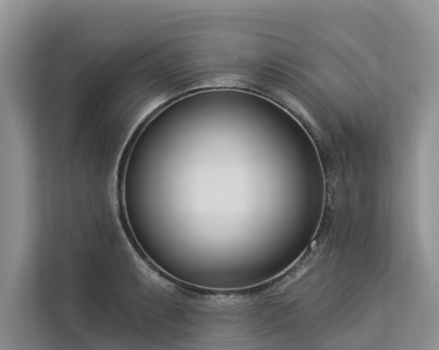 X0000113101087200908281343