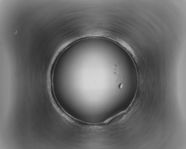 X0000113101088200908281343