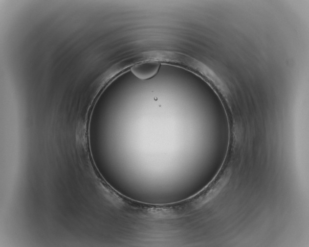 X0000113101089200908281343