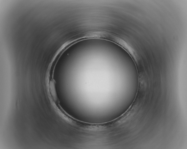 X0000113101091200908281343