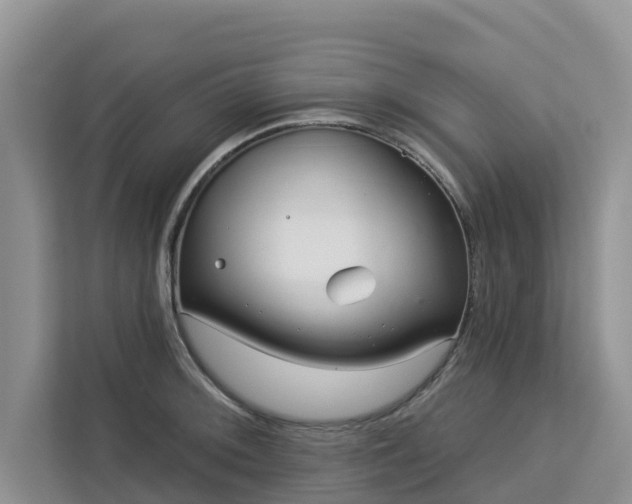 X0000113101092200908281343
