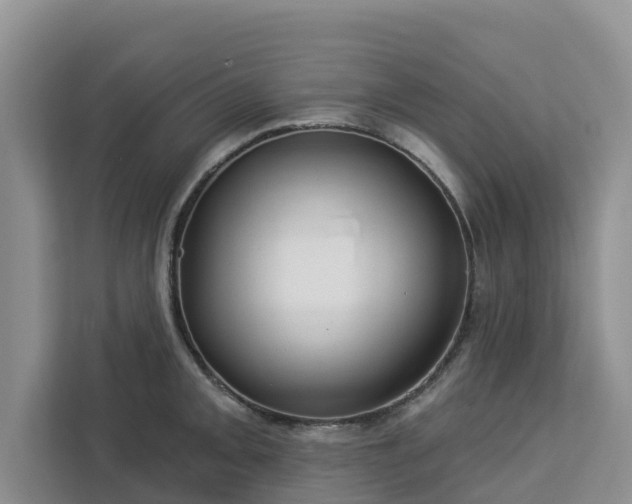 X0000113101093200908281343