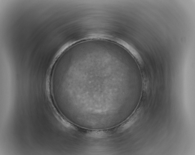 X0000113101094200908281343
