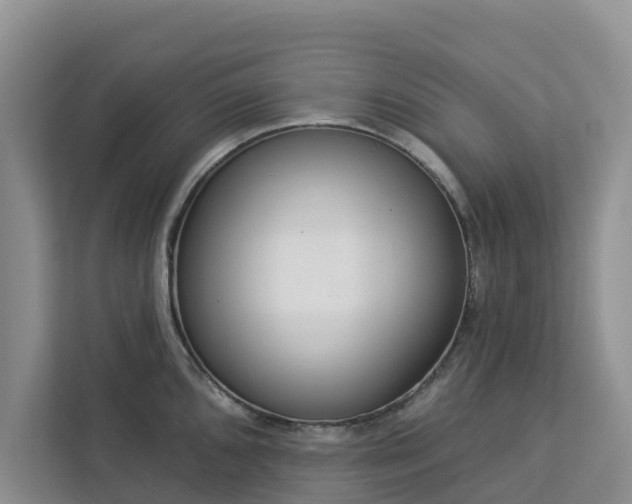 X0000113101096200908281343