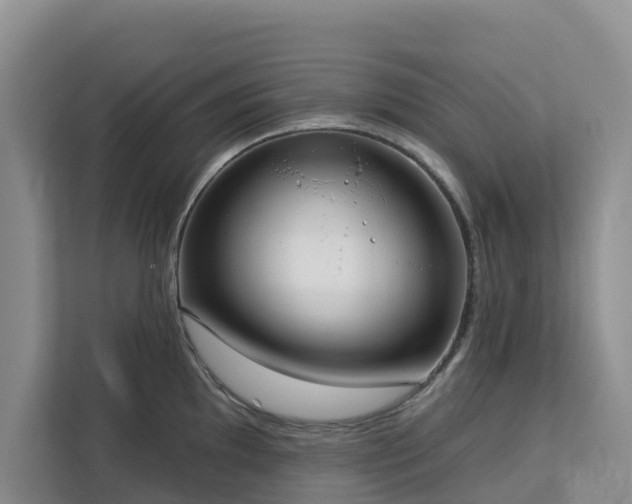X0000113101097200908281343