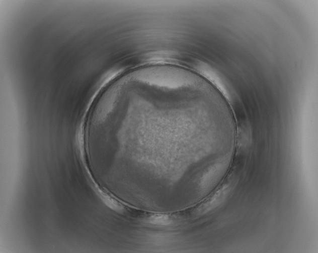 X0000113101098200908281343