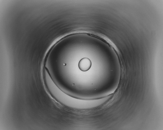 X0000113101101200908281343