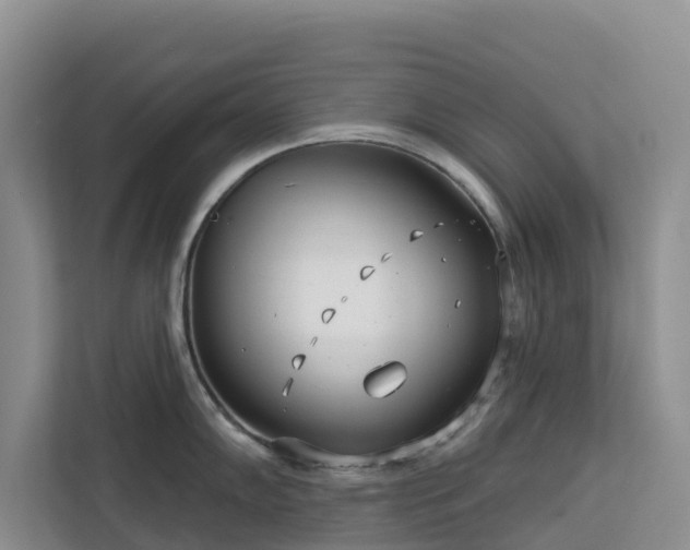 X0000113101102200908281343