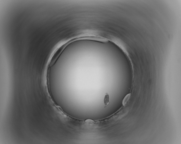 X0000113101104200908281343