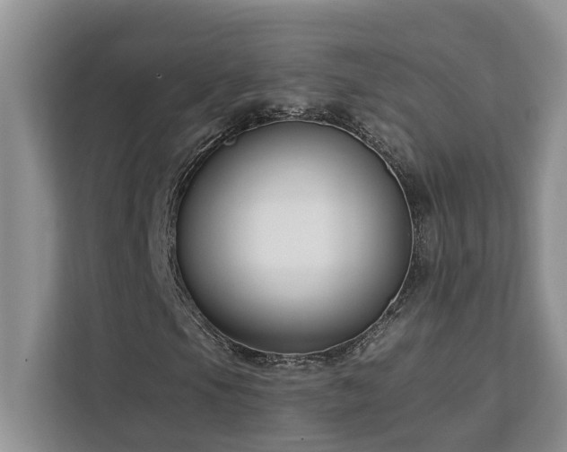 X0000113101105200908281342