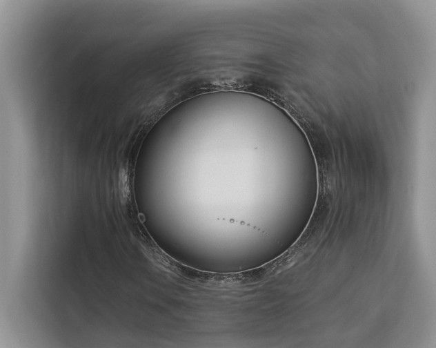 X0000113101106200908281342