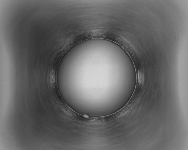 X0000113101107200908281342