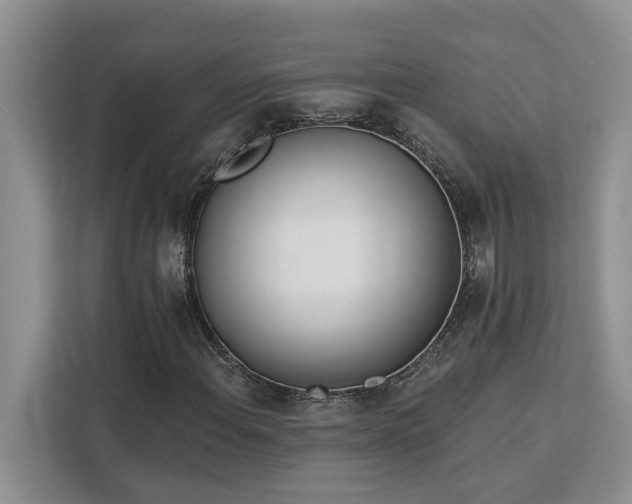 X0000113101108200908281342