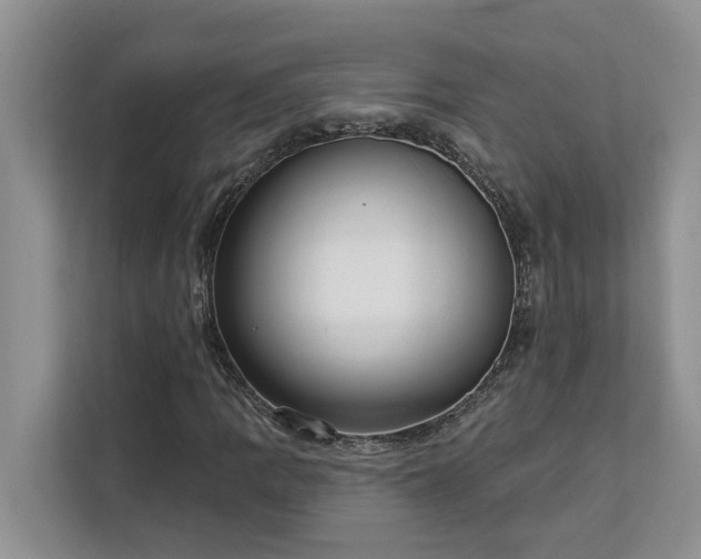 X0000113101109200908281342