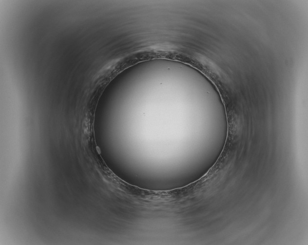 X0000113101110200908281342