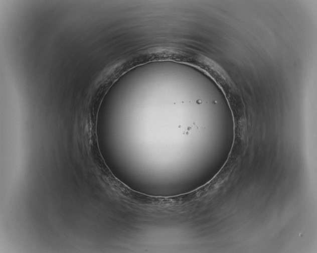 X0000113101111200908281342