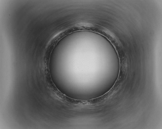 X0000113101112200908281342