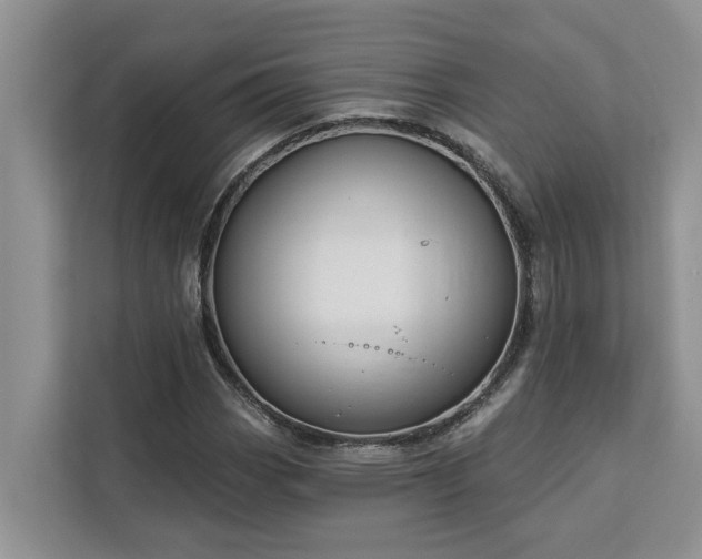 X0000113101113200908281342