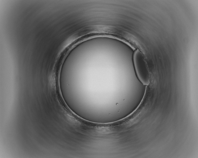 X0000113101114200908281342