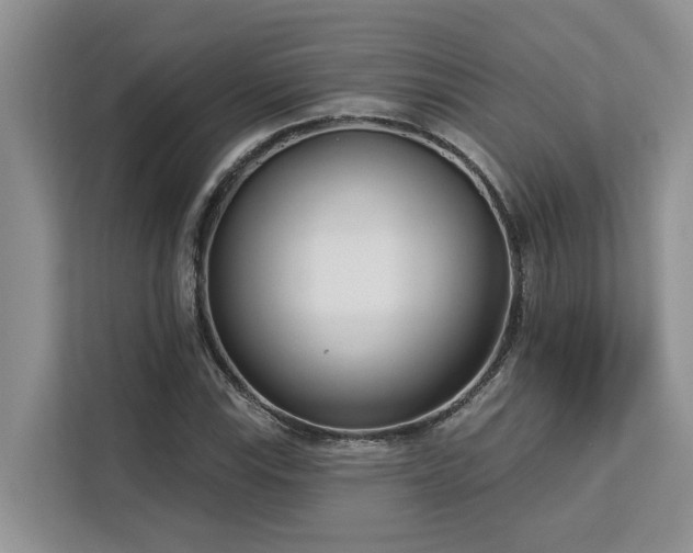 X0000113101115200908281342