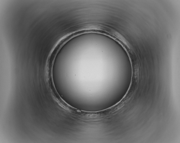 X0000113101116200908281342