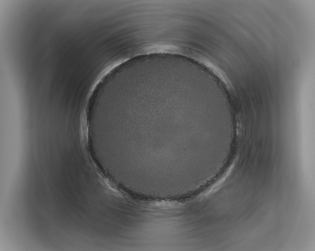 X0000113101117200908281342