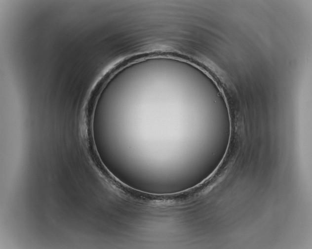 X0000113101118200908281342