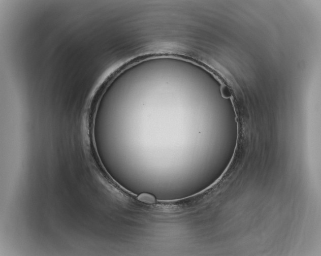 X0000113101120200908281342