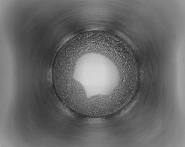 X0000113101121200908281342