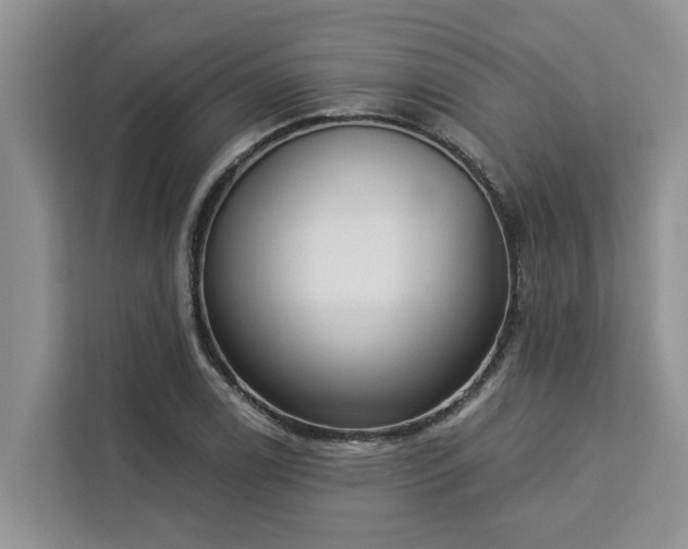 X0000113101122200908281342